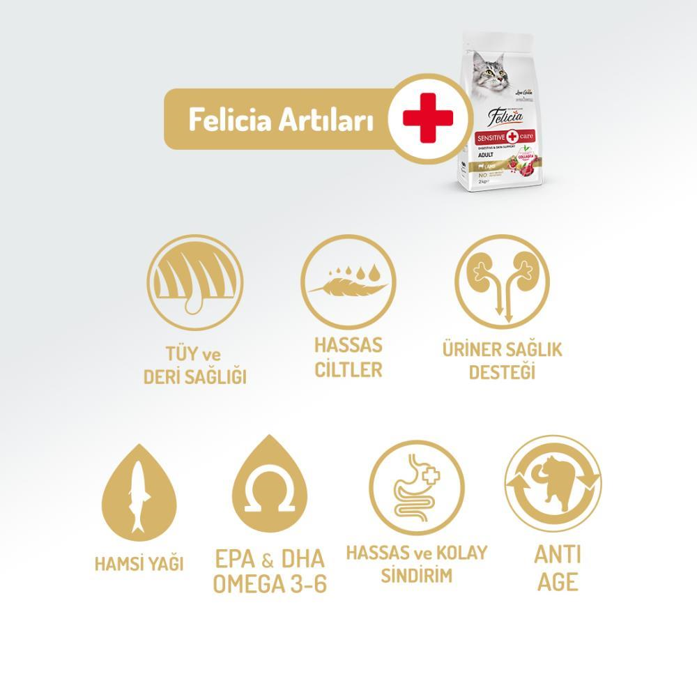 Felicia Kuzu Etli Yetişkin Kedi Maması 12 kgFelicia