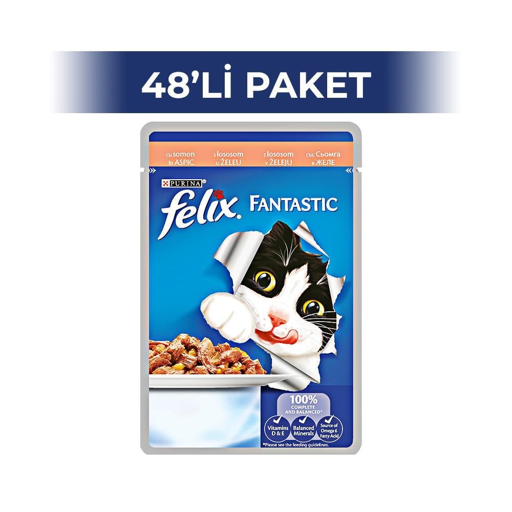 Felix Çifte Lezzet Somon Sardalyalı Kedi Maması 100 gr 48 adetFelix