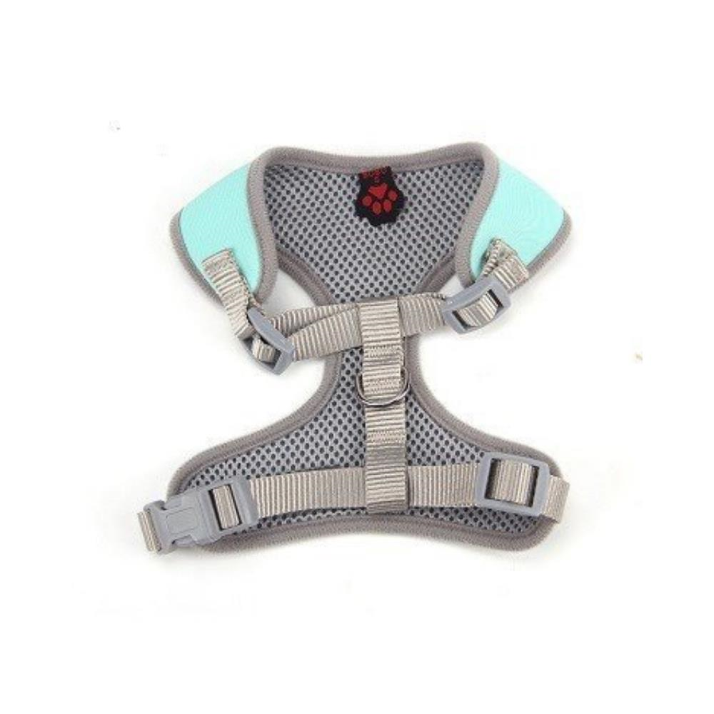 Lion Göğüs Takım Tasma SmallLion