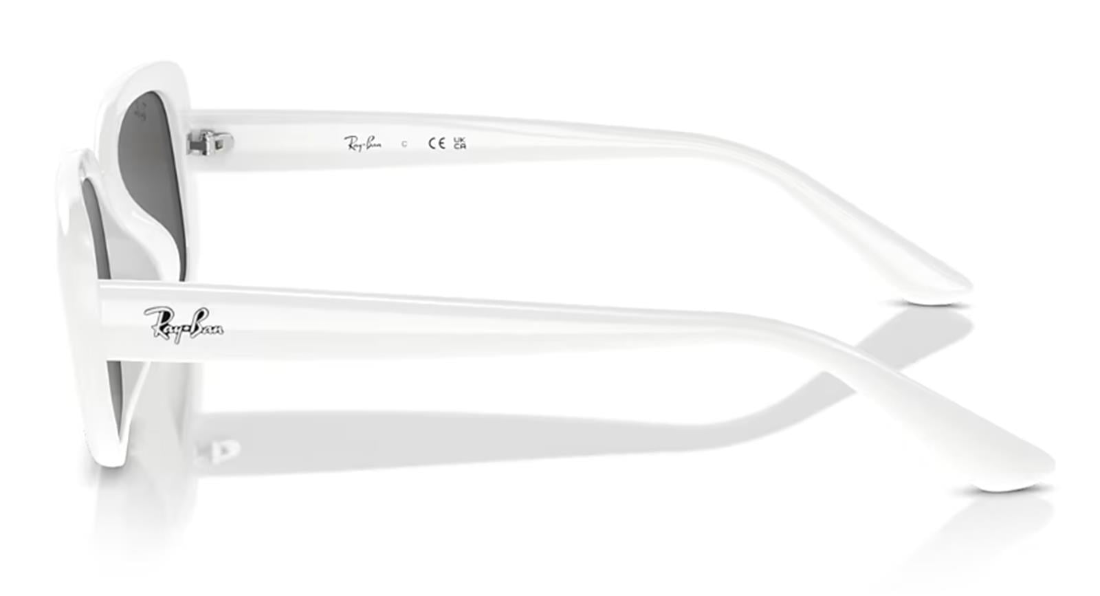 Ray-Ban RB4421D 677287 56 Kadın Güneş Gözlüğü Ray-Ban RB4421D 677287 56 Kadın Güneş Gözlüğü - Lenti 