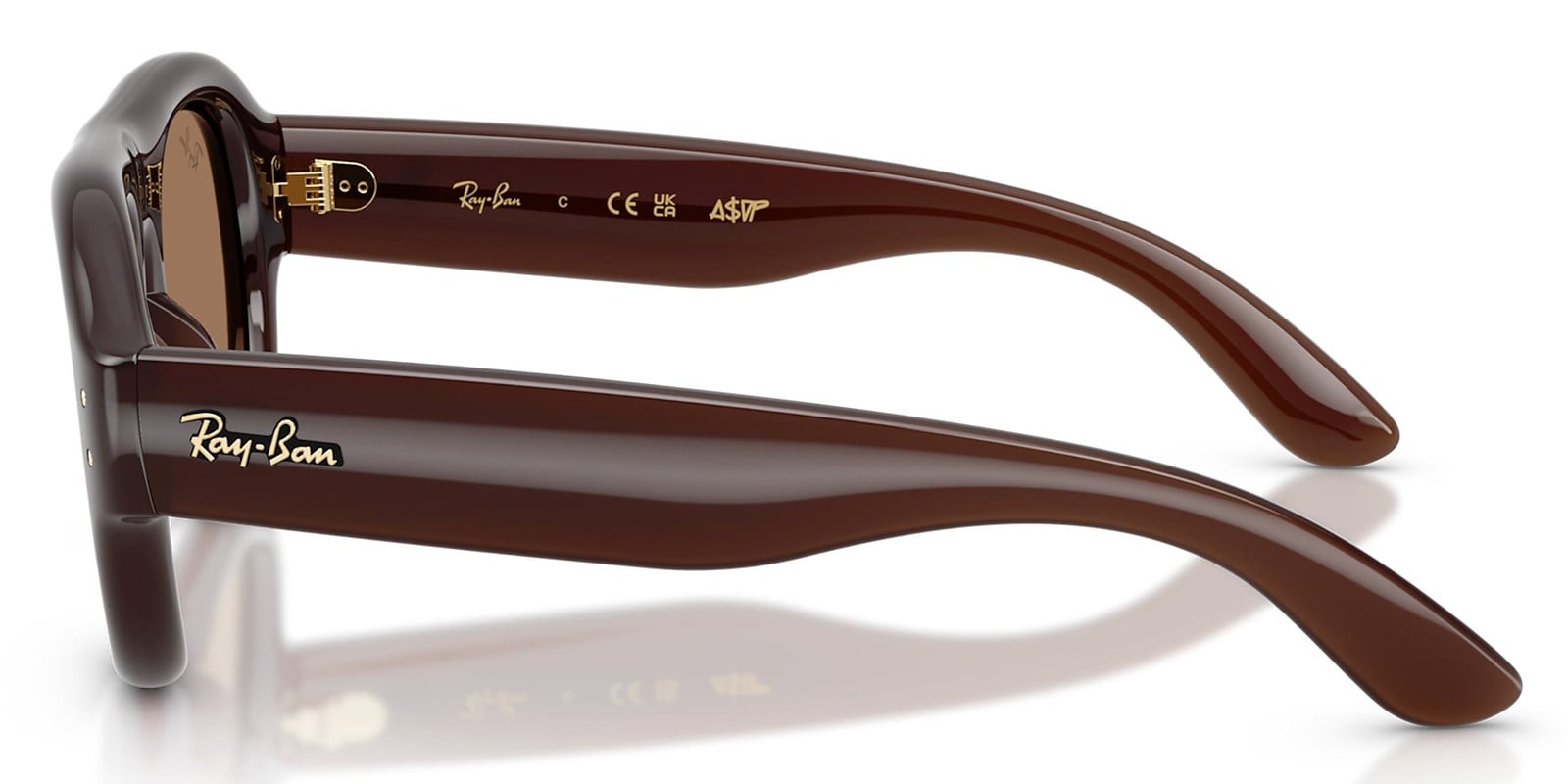 Ray-Ban RB4925 6896/73 52 A$AP ROCKY Unisex Güneş Gözlüğü  