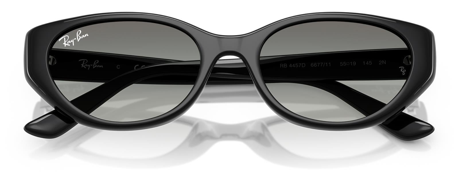Ray-Ban RB4457D 667711 55 Unisex Güneş Gözlüğü Ray-Ban RB4457D 667711 55 Unisex Güneş Gözlüğü - Lenti 