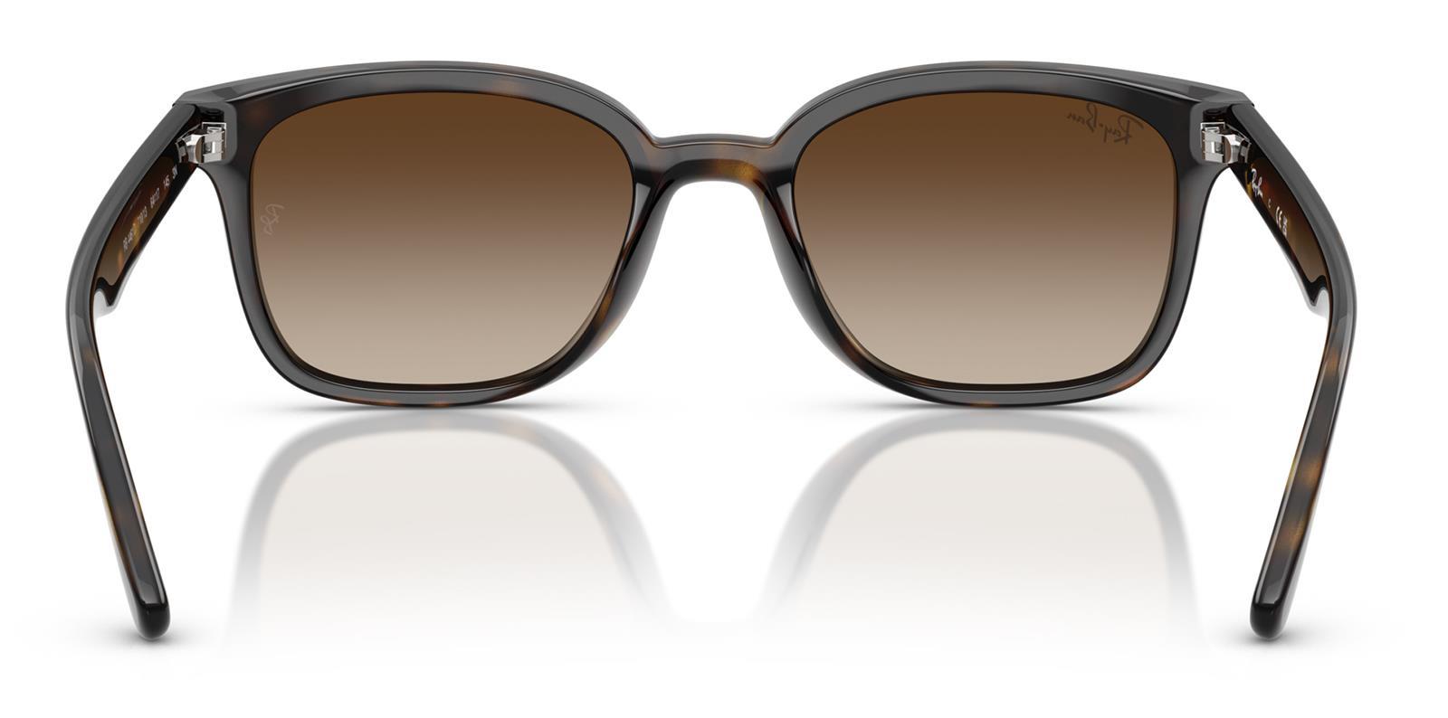 Ray-Ban RB4461D 710/13 64 Unisex Güneş Gözlüğü Ray-Ban RB4461D 710/13 64 Unisex Güneş Gözlüğü - Lenti 