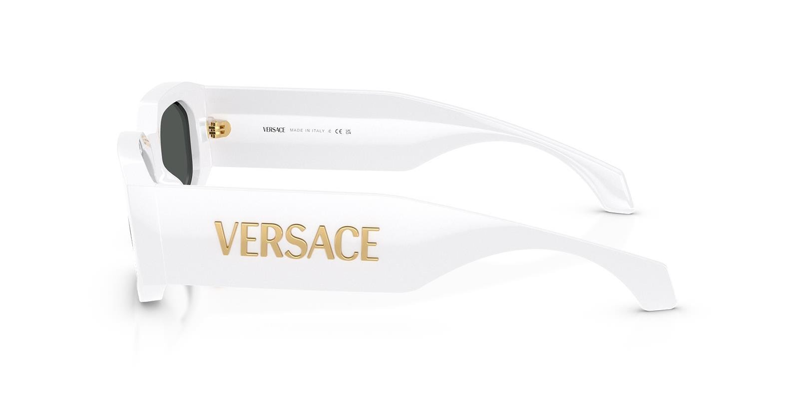 Versace VE4489U 314/87 55 Erkek Güneş Gözlüğü  