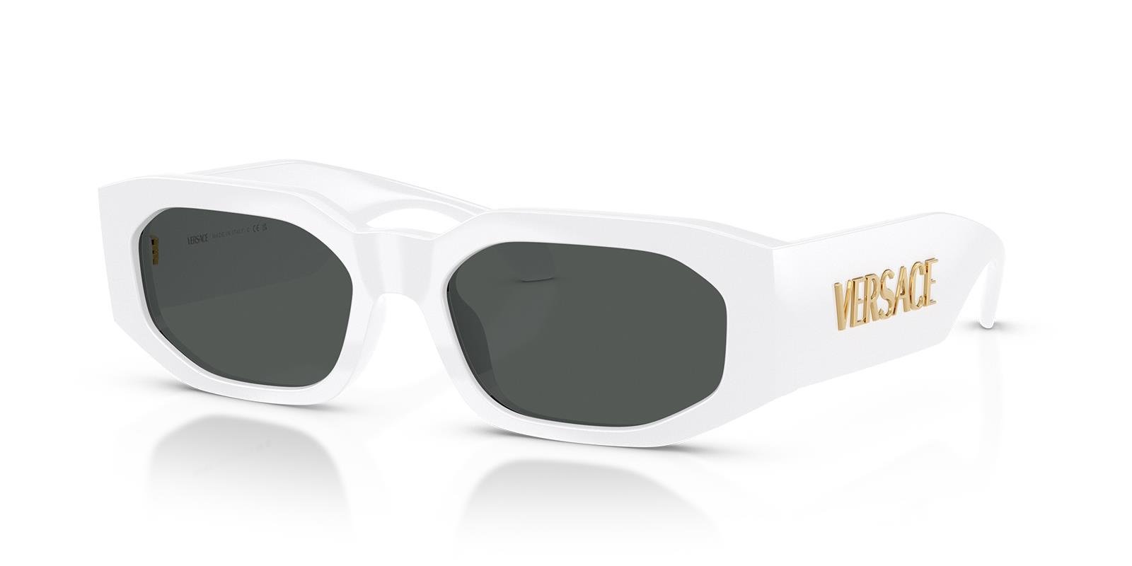 Versace VE4489U 314/87 55 Erkek Güneş Gözlüğü  