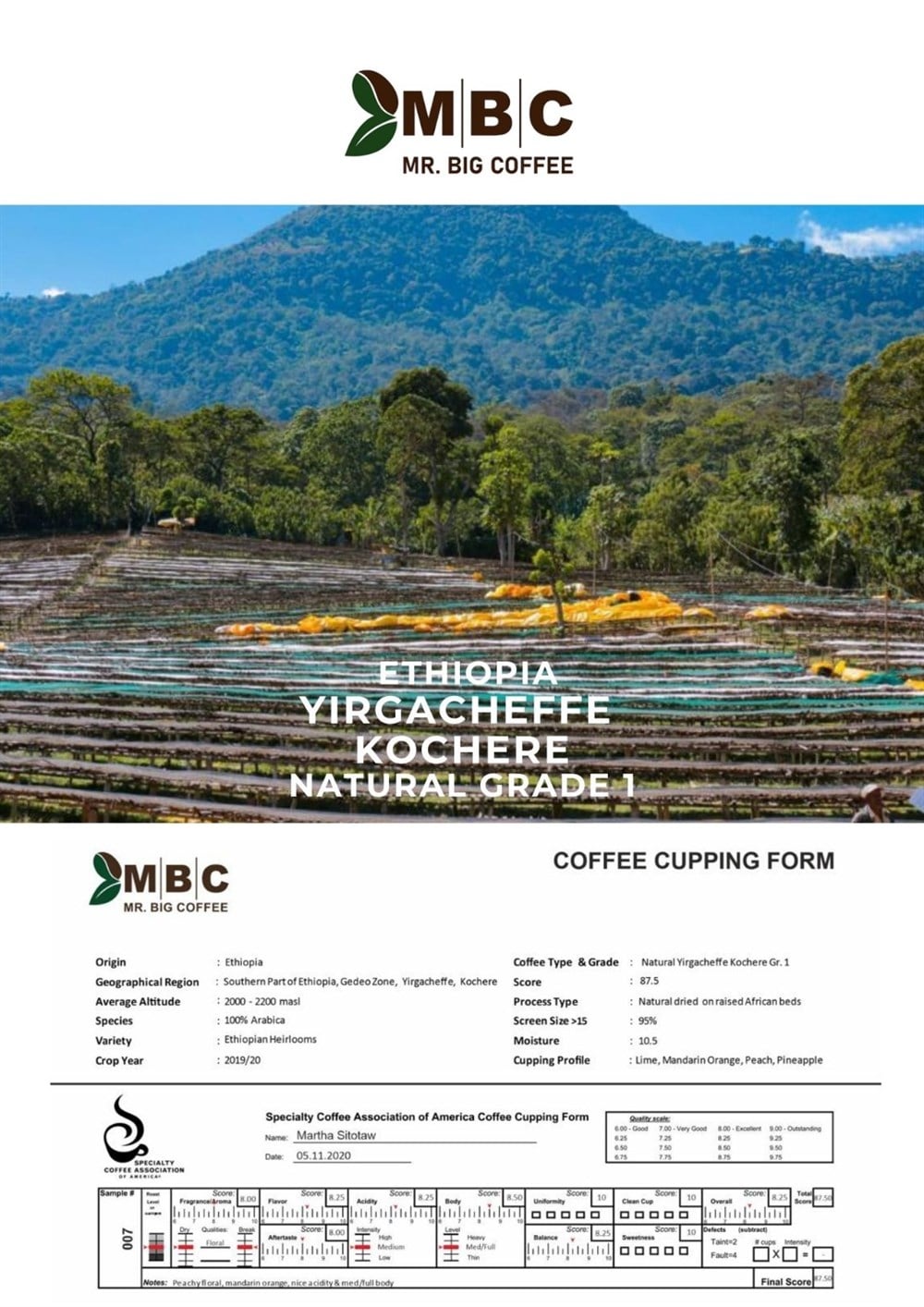 Etiyopya Yirgacheffe, Kochere