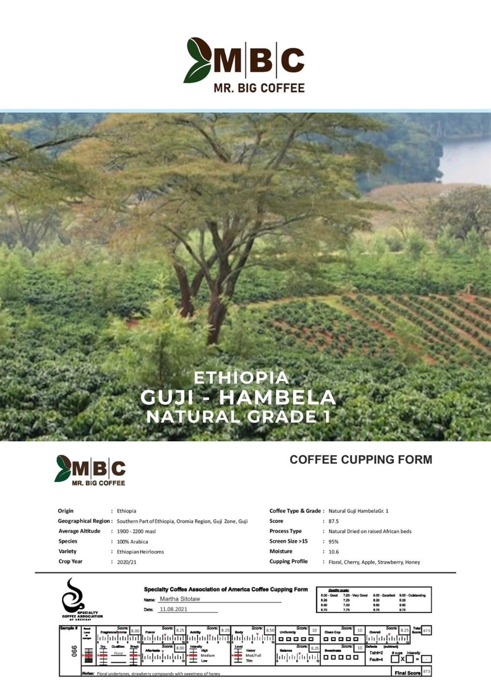 GUJİ HAMBELLA  GR1