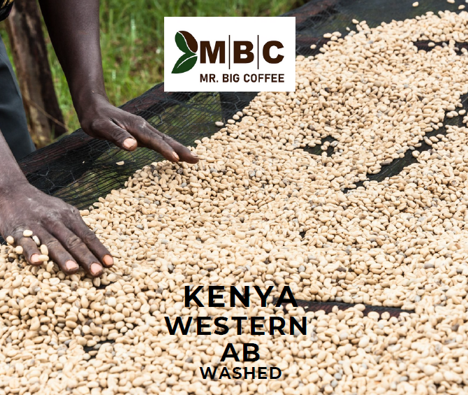 KENYA WESTERN AB