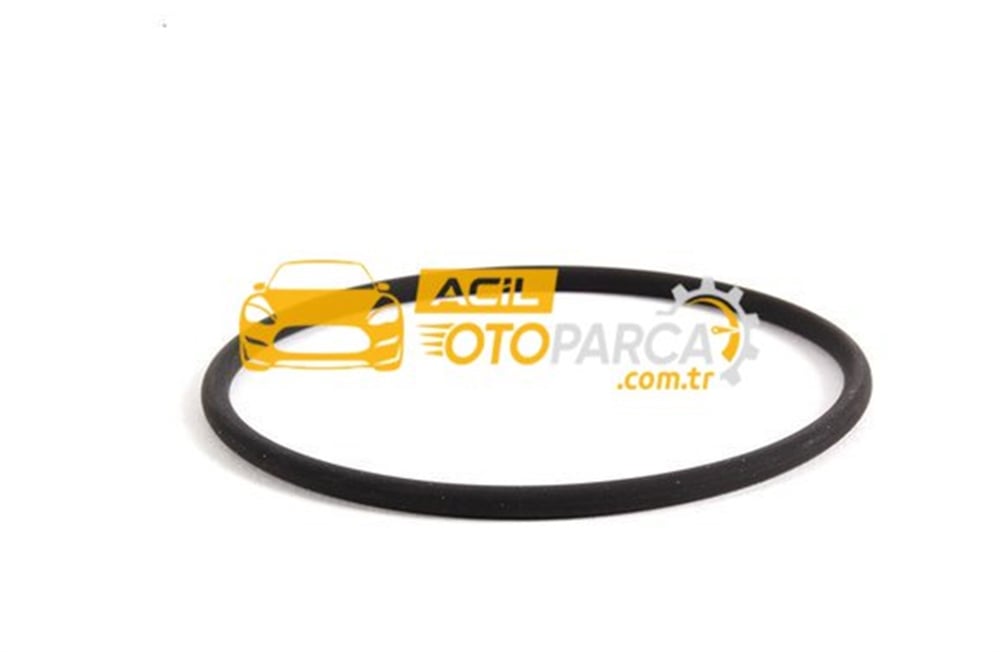 Bmw 3 Serisi E90 Kasa 320i Vakum Pompa Olringi Orjinal (11667509080)