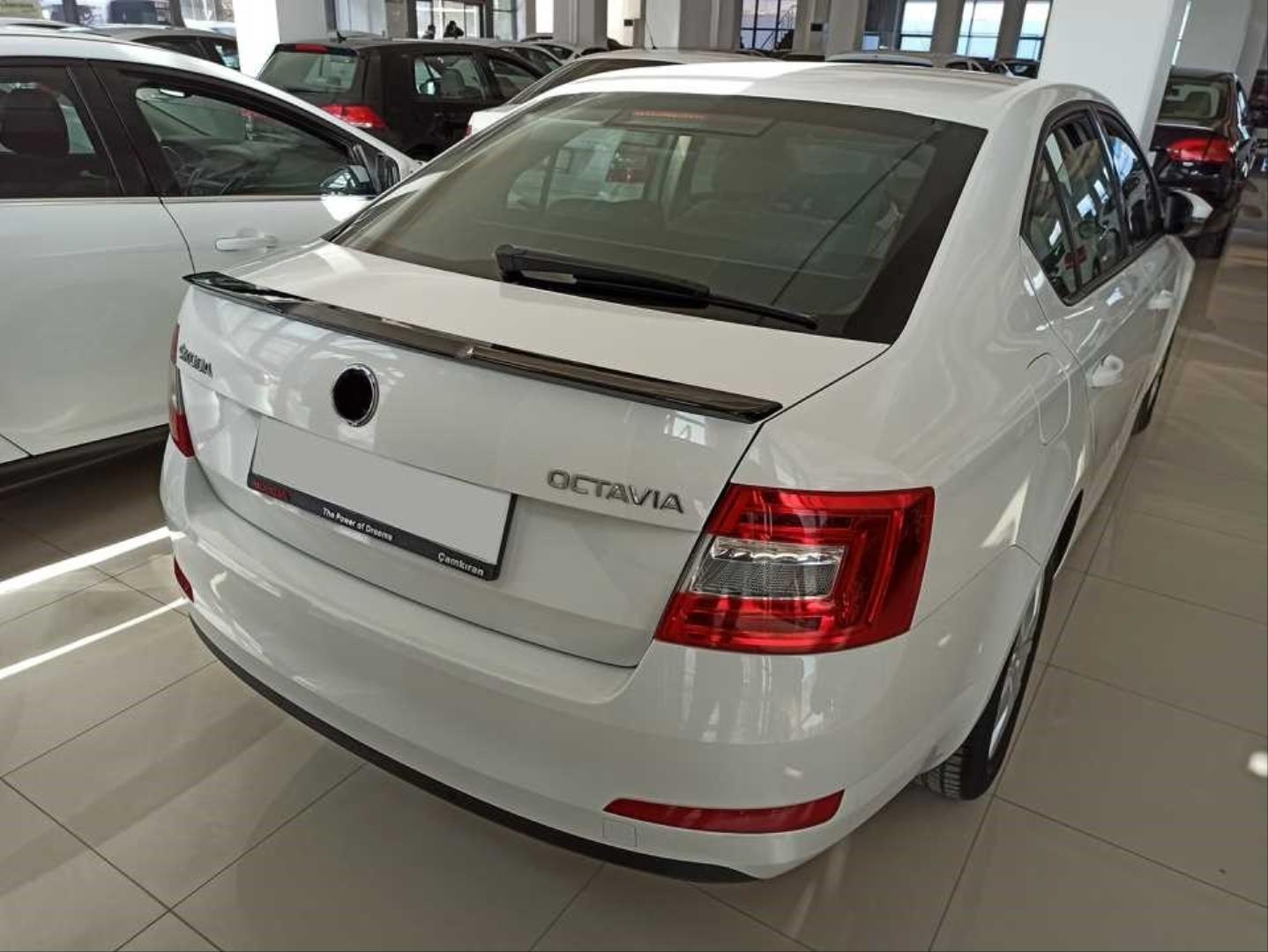 OCTAVIA 2015-2019 IÇIN UYUMLU SPOILER  (BOYASIZ) 