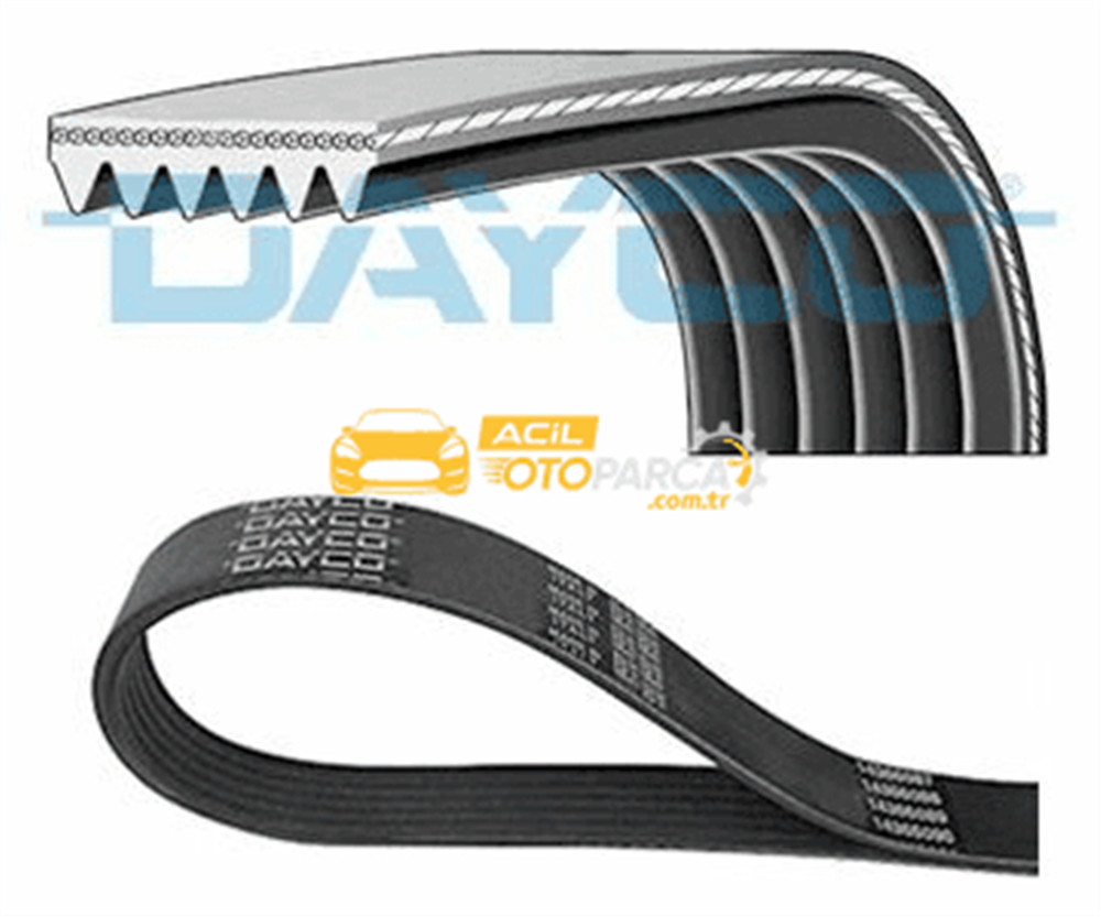 Volkswagen DAYCO 6PK1095 | Kanallı Kayış