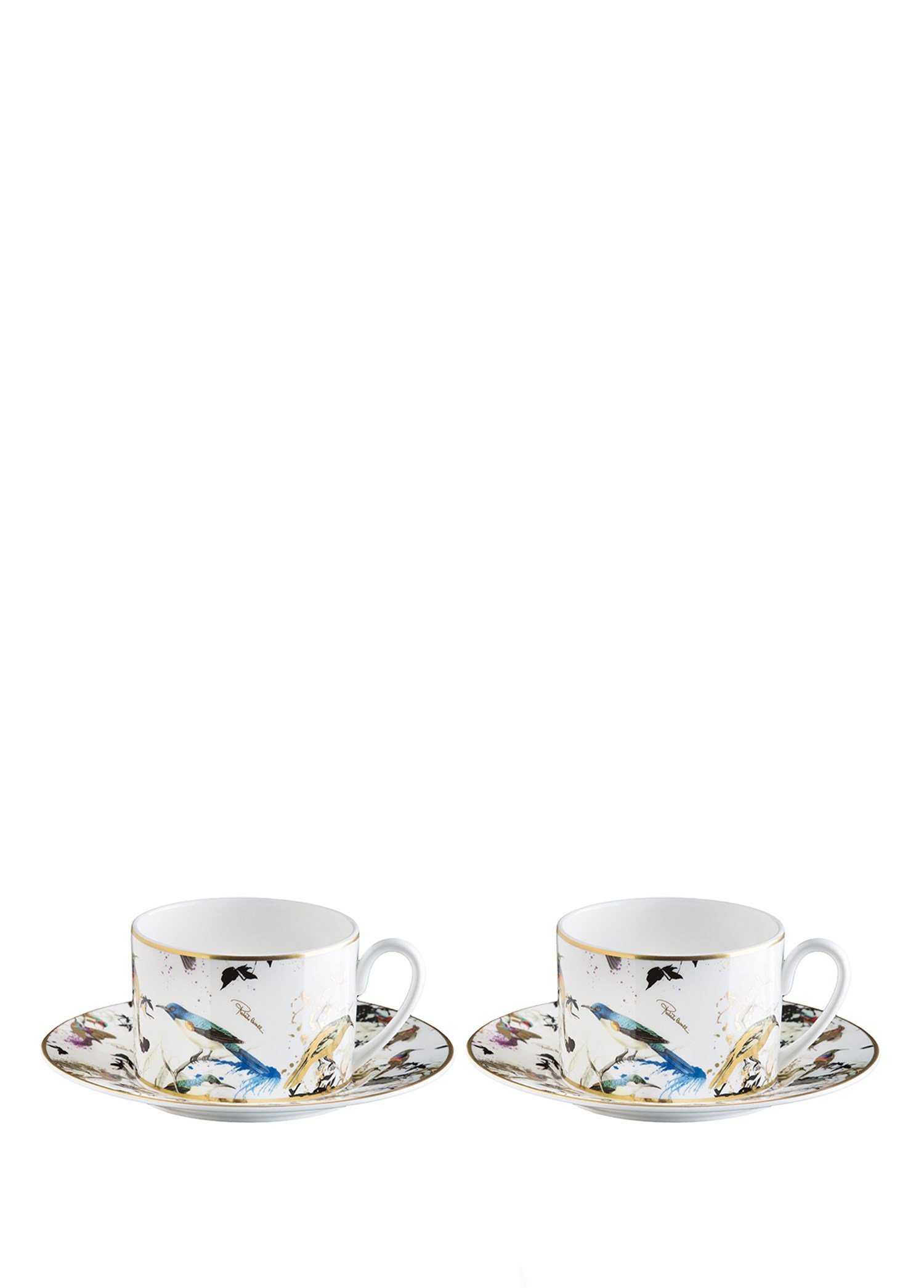 ROBERTO CAVALLI GARDENS BIRDS - 2 KISILIK KAHVE/CAY FINCAN VE TABAGI, 0,22 L, 4 PARCA