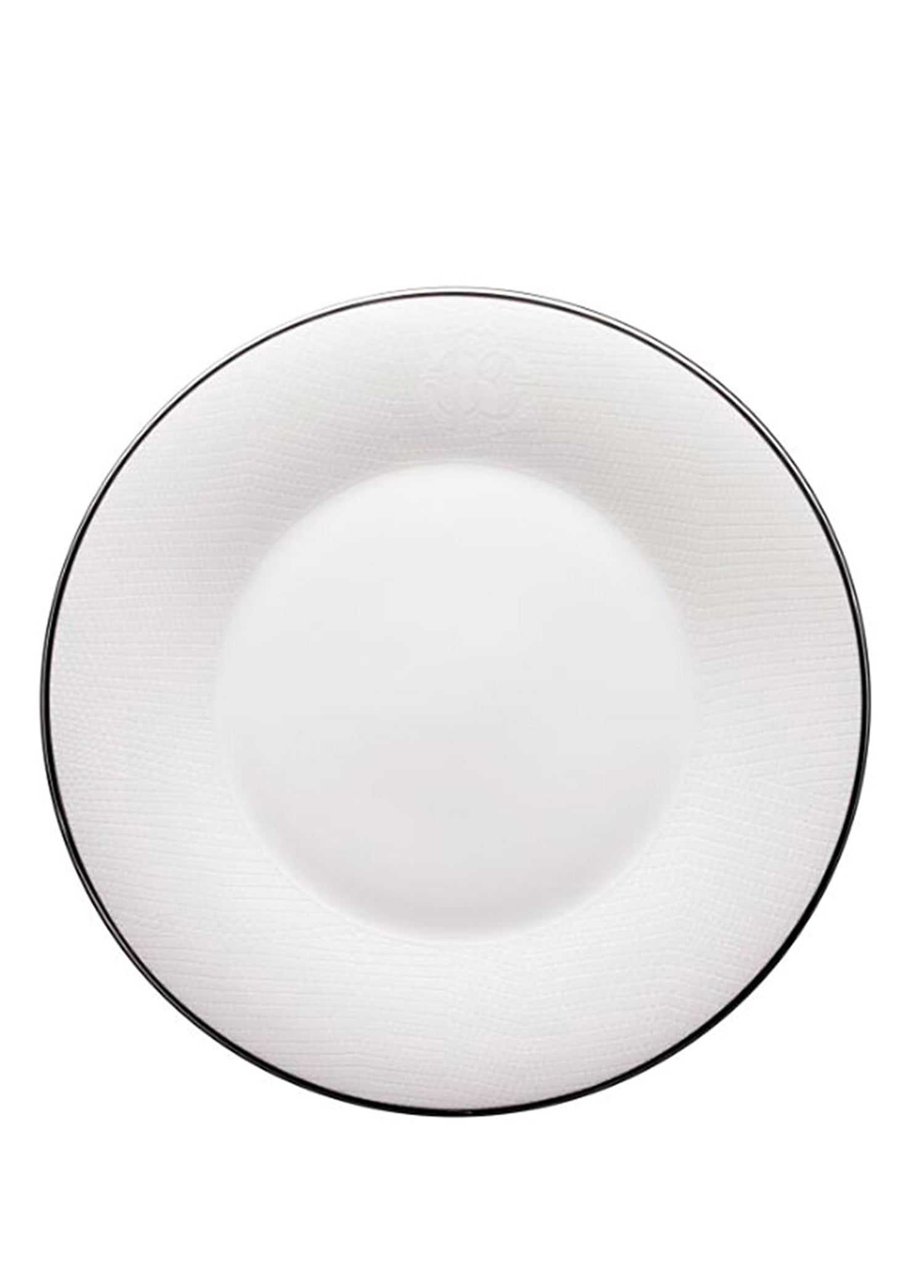 ROBERTO CAVALLI LIZZARD PLATIN - SERVIS TABAGI, 32 CM