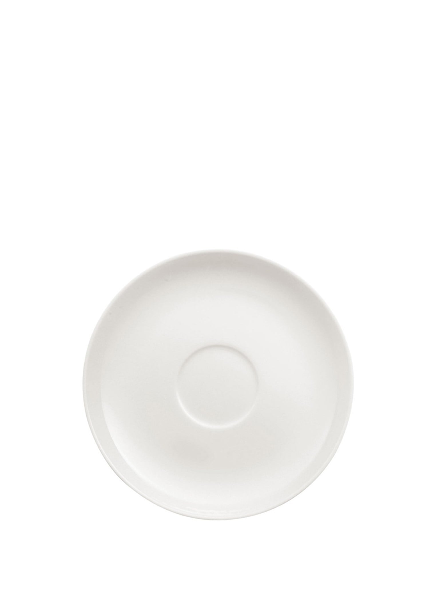 VB ROYAL - NESC./CAY TABAGI, 15CM