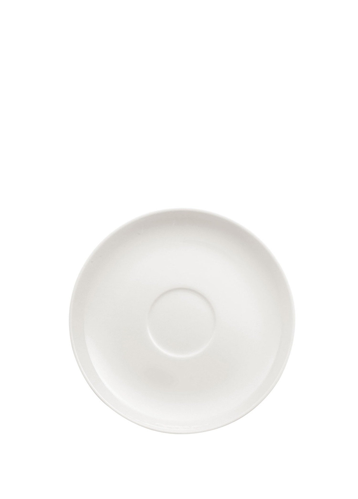 VB ROYAL - NESC./CAY TABAGI, 15CM