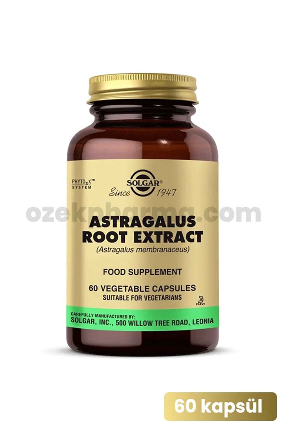 Solgar Astragalus Root Extract 60 Kapsül