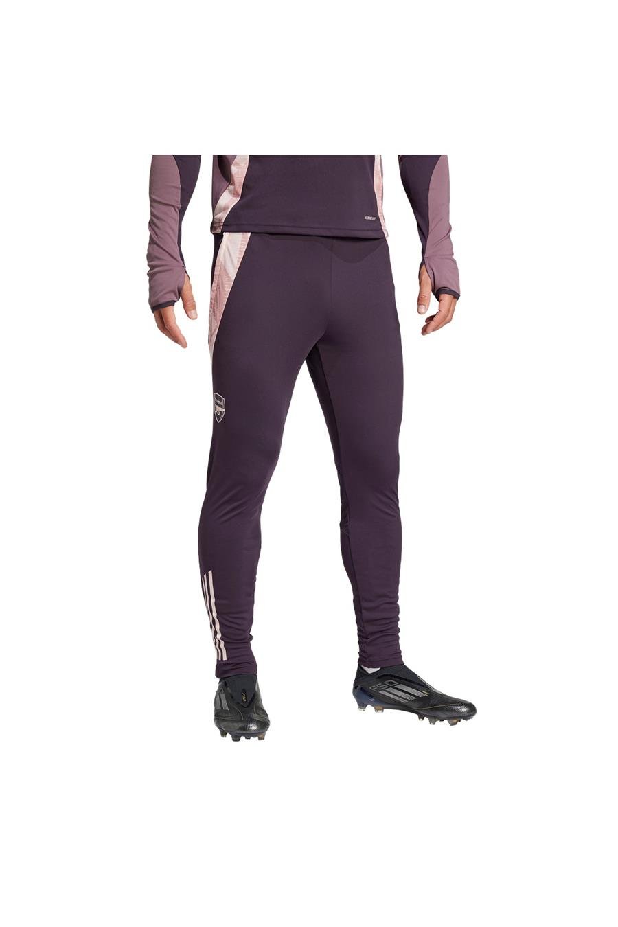 adidas AFC TR PNT Erkek  Mor  Eşofman Altı JF2916