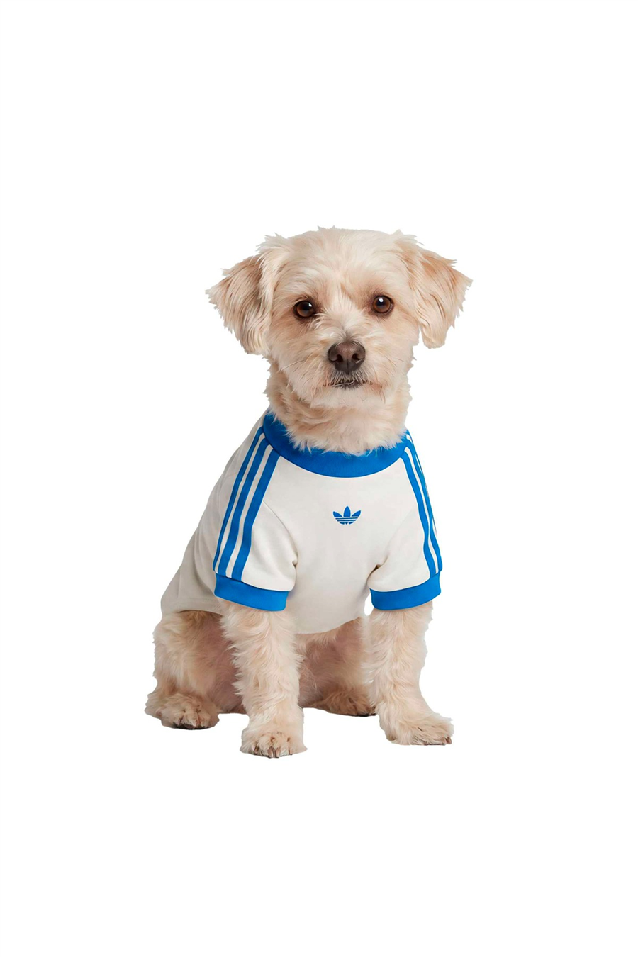 adidas Aksesuar  Beyaz  Köpek Kıyafeti PET CALI TEE KY8732