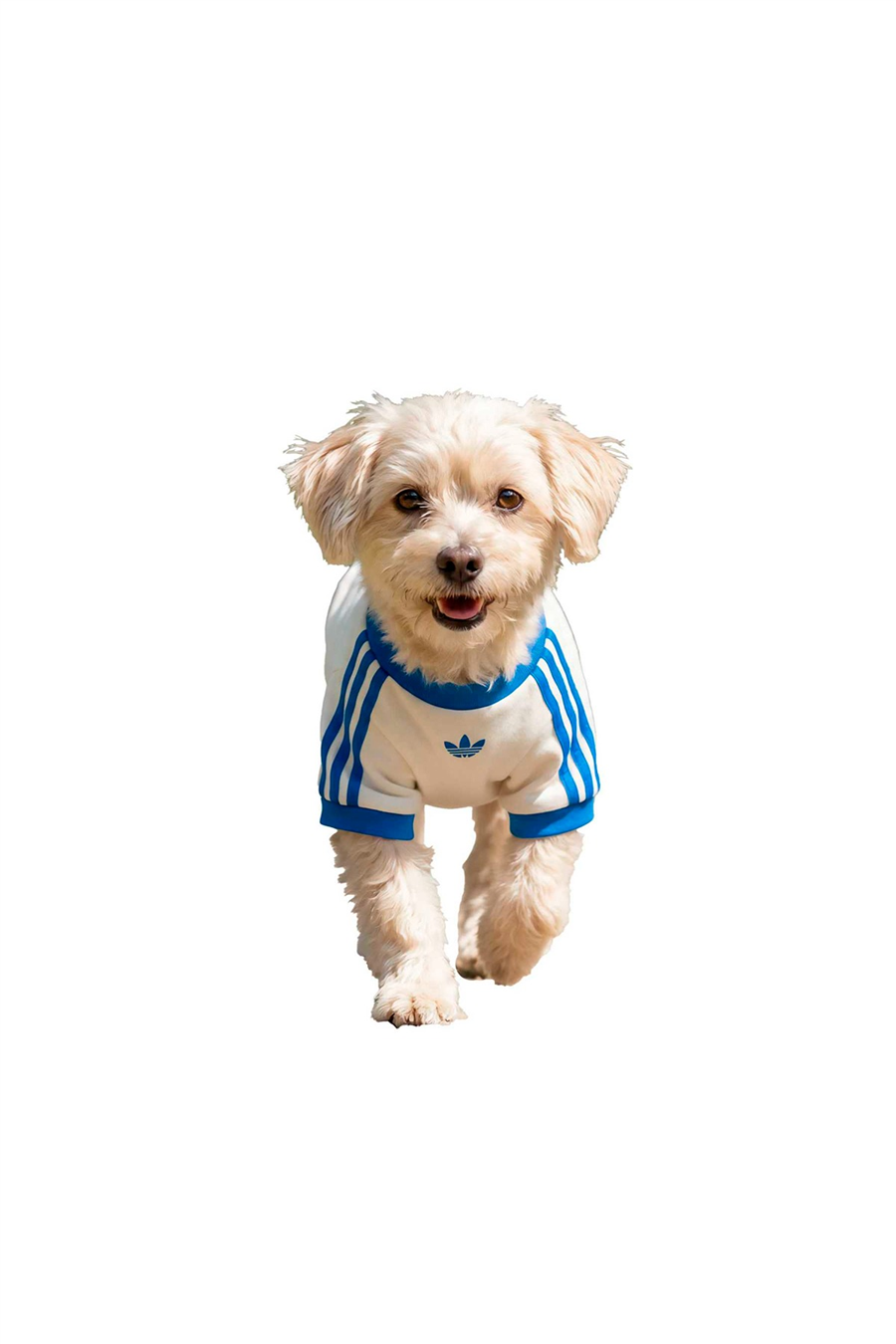 adidas Aksesuar  Beyaz  Köpek Kıyafeti PET CALI TEE KY8732