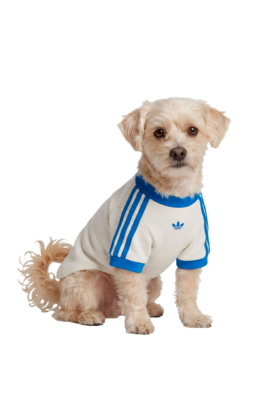 adidas Aksesuar  Beyaz  Köpek Kıyafeti PET CALI TEE KY8732