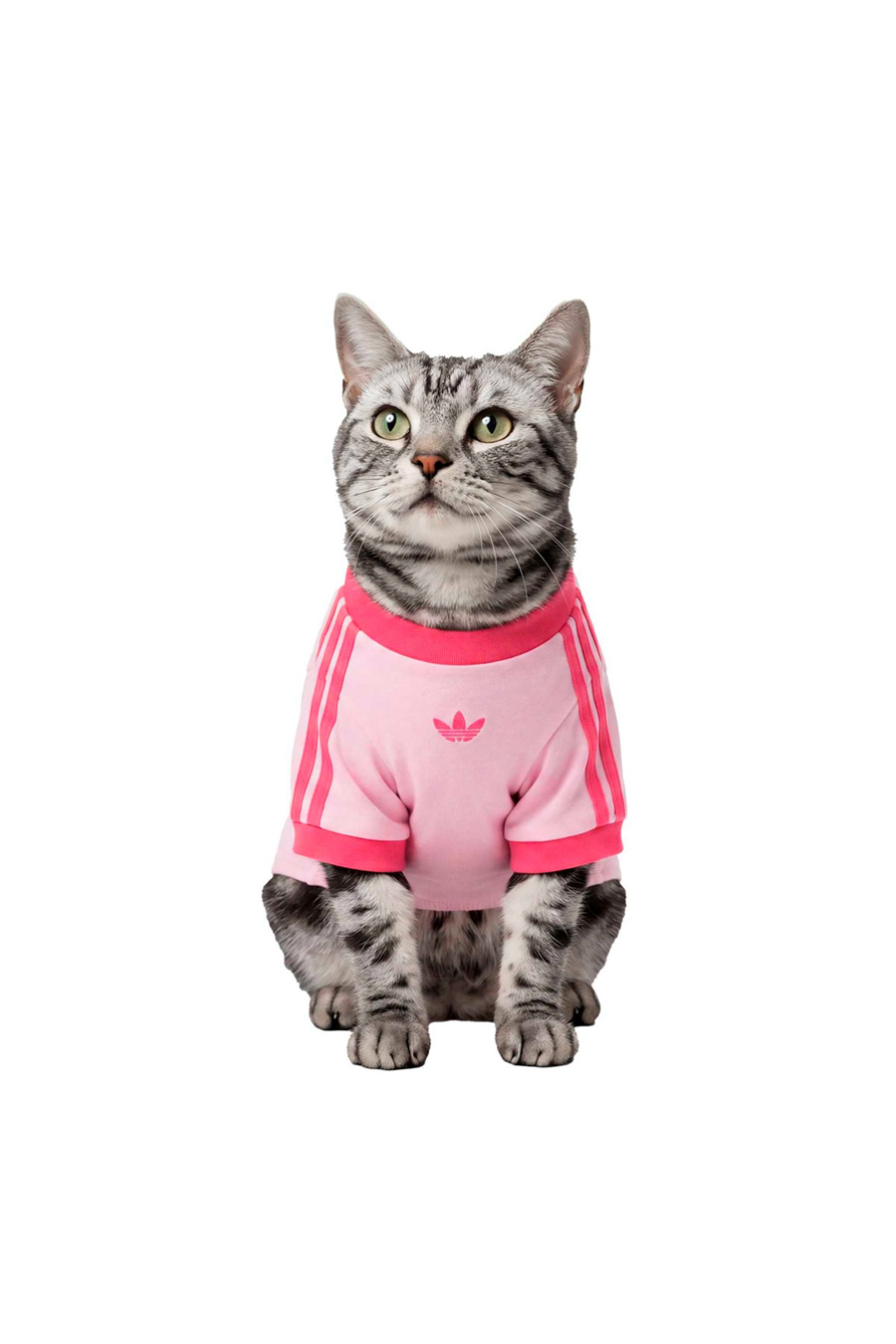 adidas Aksesuar  Pembe  Köpek Kıyafeti PET CALI TEE KY8729