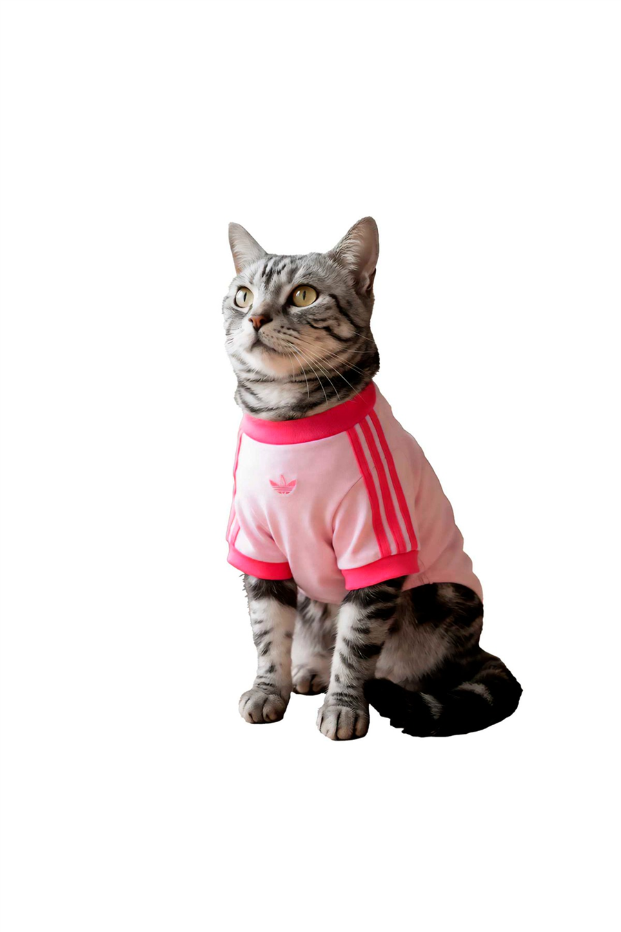 adidas Aksesuar  Pembe  Köpek Kıyafeti PET CALI TEE KY8729