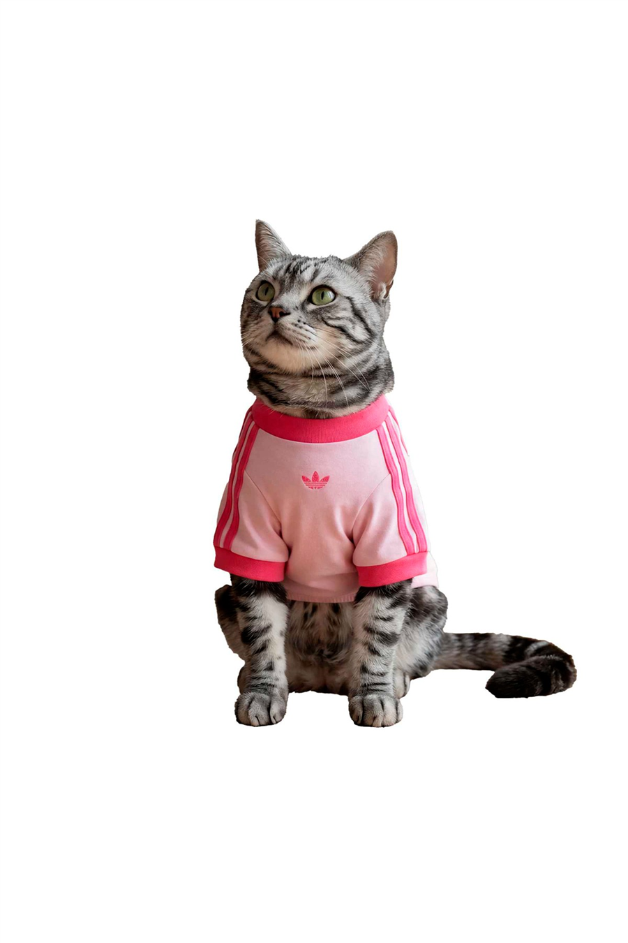 adidas Aksesuar  Pembe  Köpek Kıyafeti PET CALI TEE KY8729
