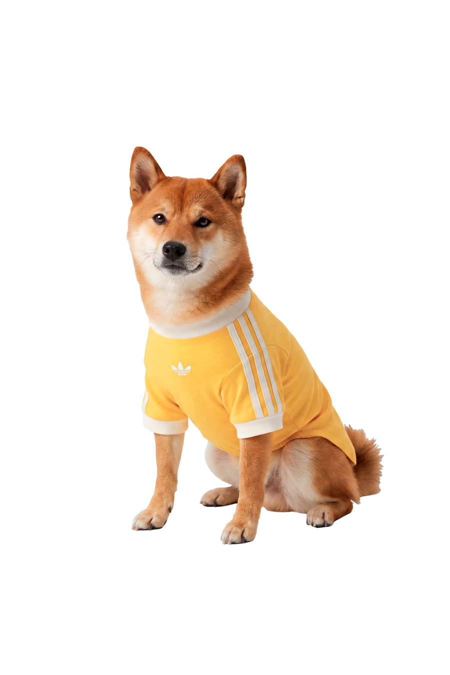 adidas Aksesuar  Sarı  Köpek Kıyafeti PET CALI TEE KY8731
