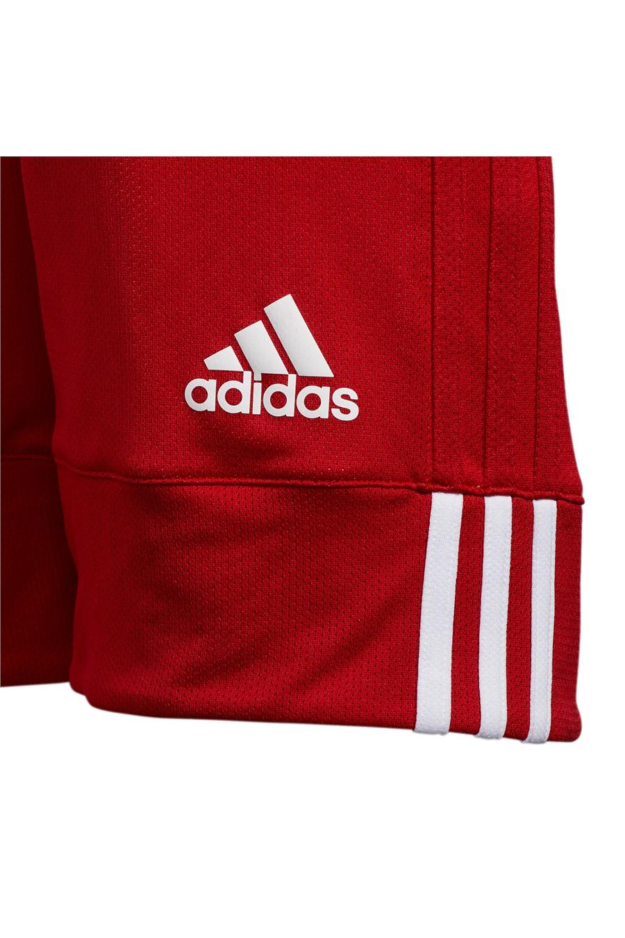 adidas BASKET ŞORTU DY6627