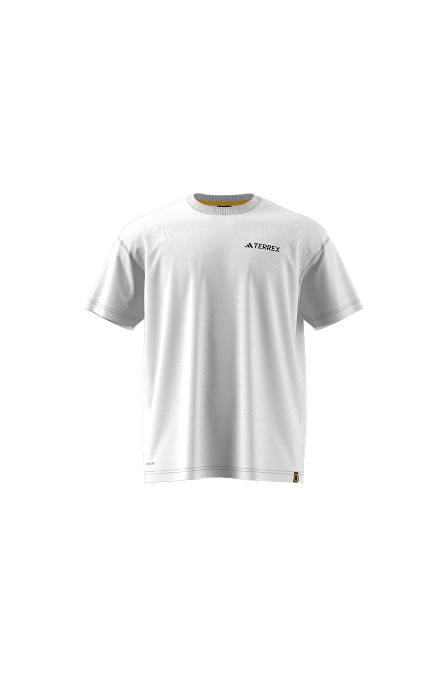 adidas Beyaz  Erkek  T-shirt NG U AR B GFX T JD5956 Beyaz  Erkek  T-shirt NG U AR B GFX T JD5956