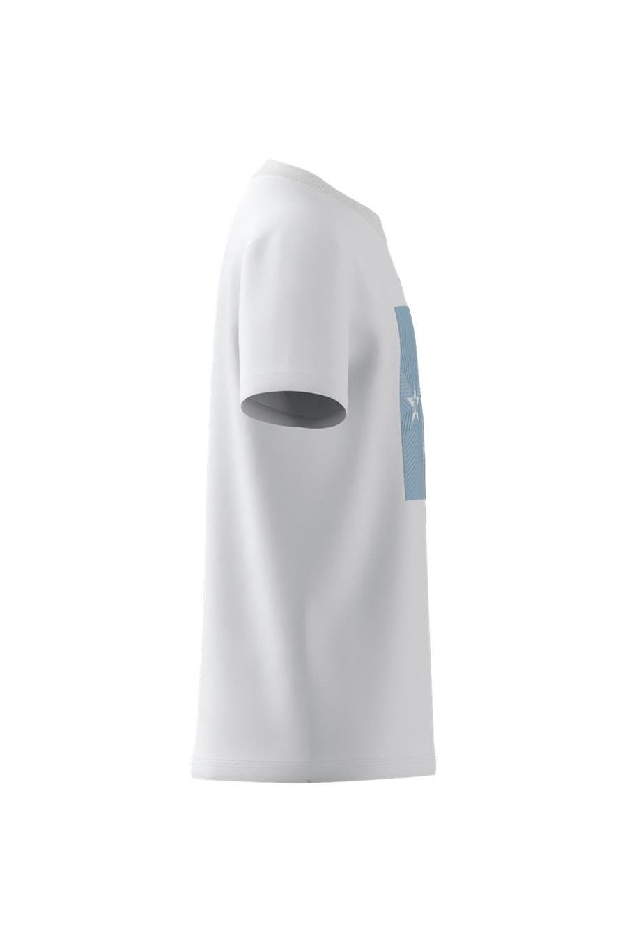 adidas Çocuk  Beyaz  T-shirt AFA H TEE KIDS KA2493