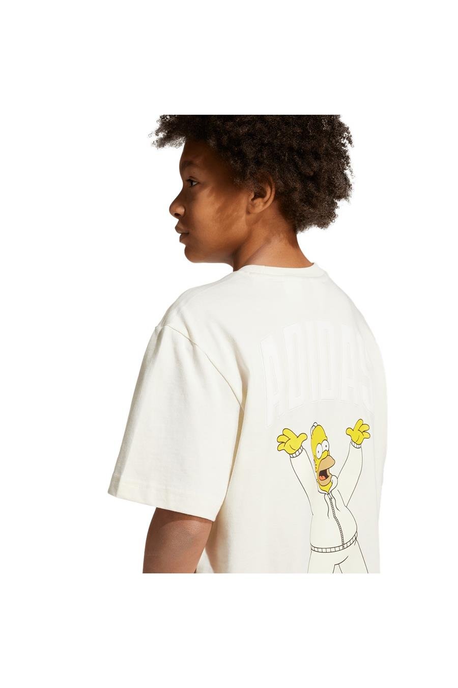 adidas  Çocuk  Beyaz  T-shirt J SIM GFX T JL9180