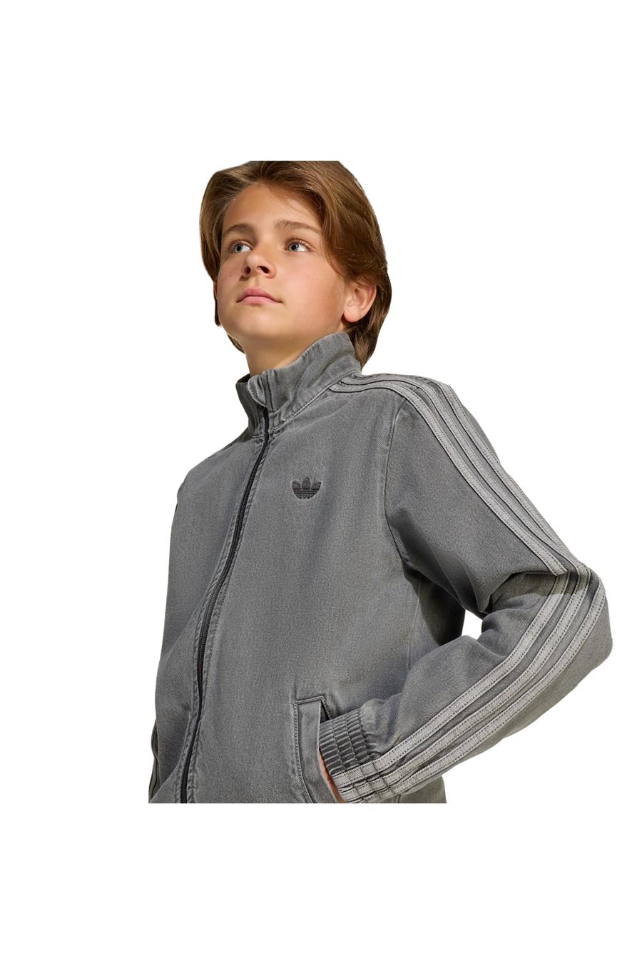 adidas  Çocuk  Çok renkli  Ceket FIREBIRD TT D JV7801