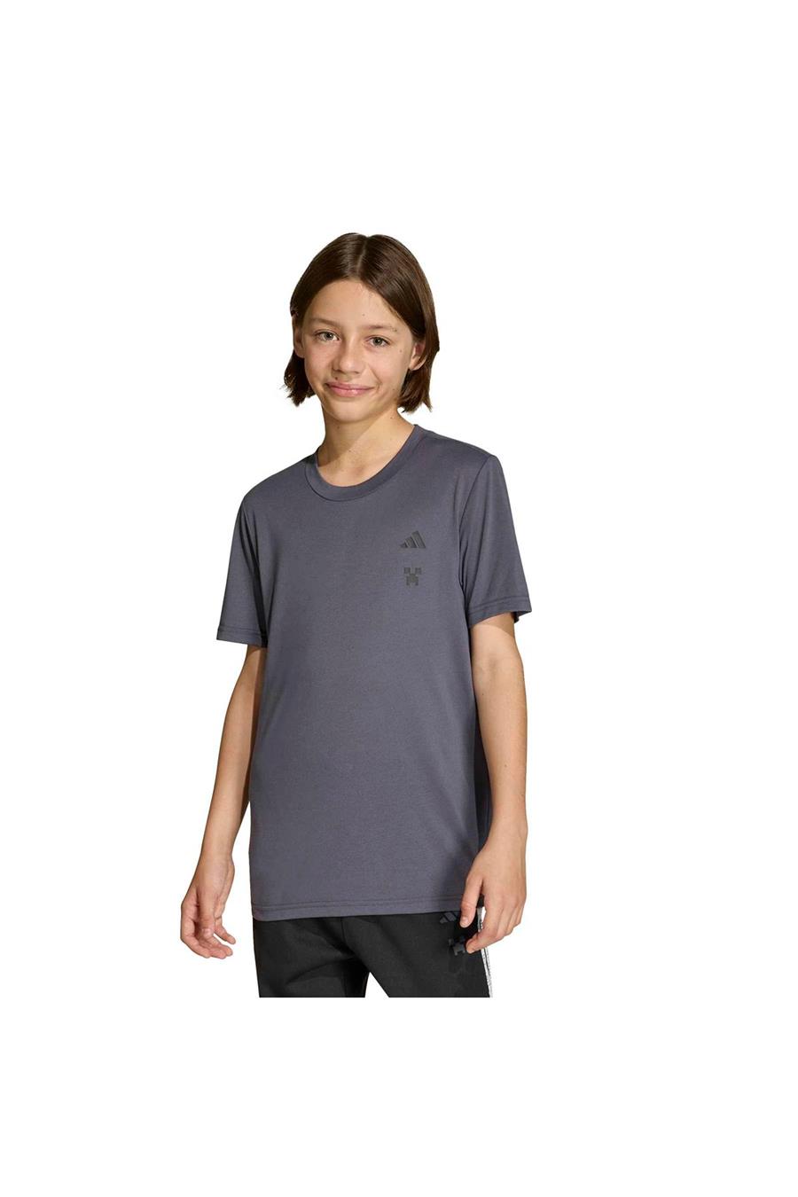 adidas  Çocuk Gri  T-shirt J MC TR TEE KD0979