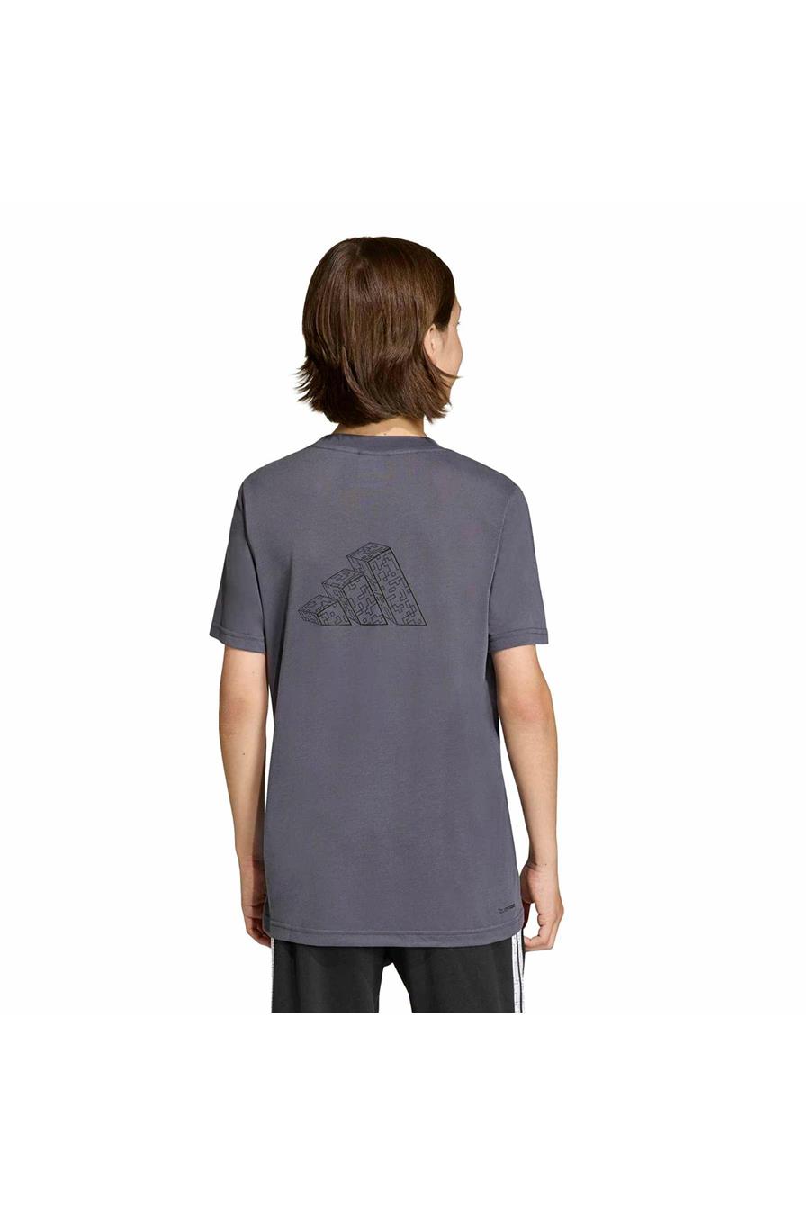 adidas  Çocuk Gri  T-shirt J MC TR TEE KD0979