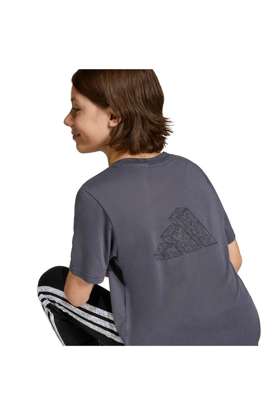 adidas  Çocuk Gri  T-shirt J MC TR TEE KD0979