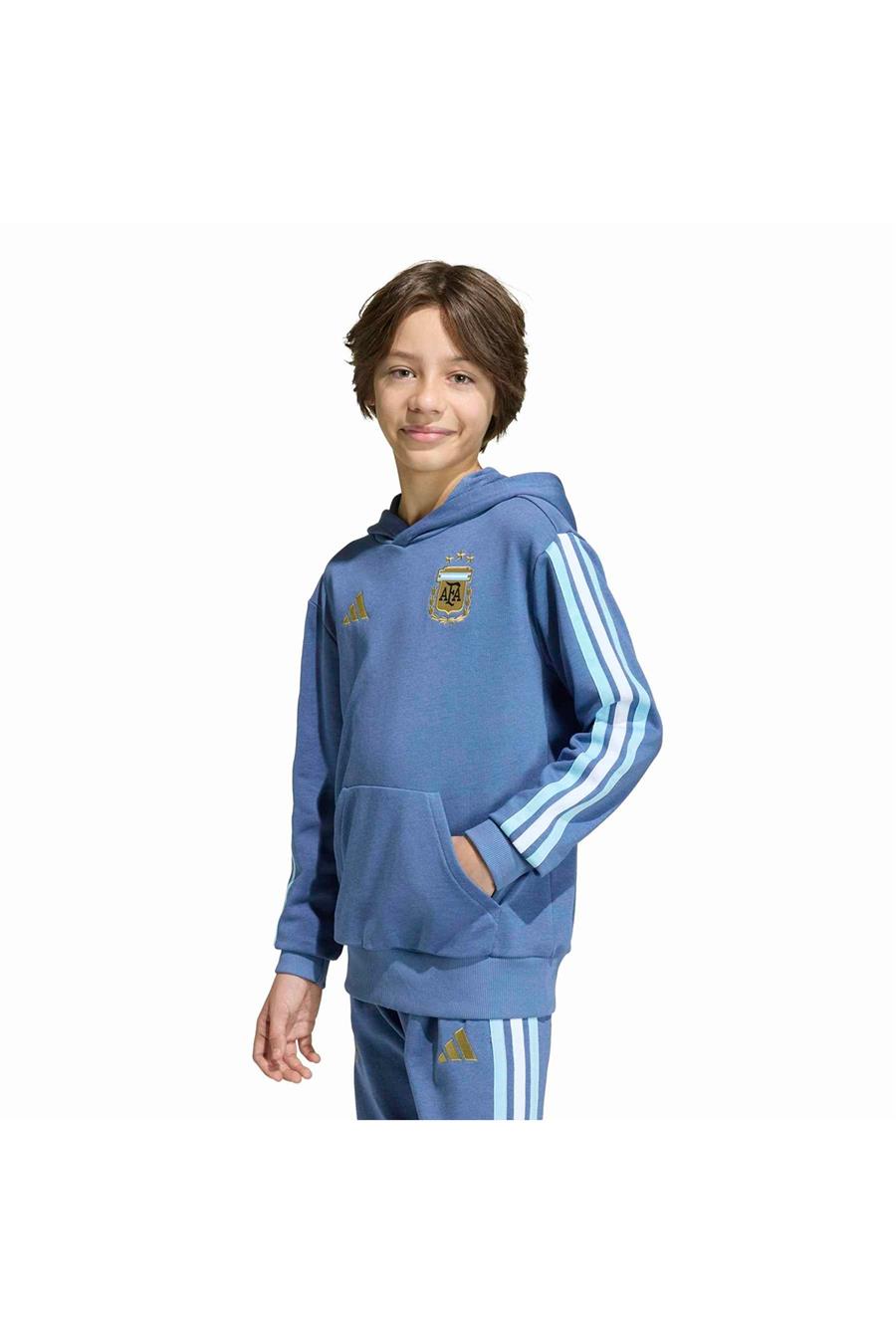 adidas Çocuk  Mavi  Sweatshirt AFA KIDS HD JZ6304
