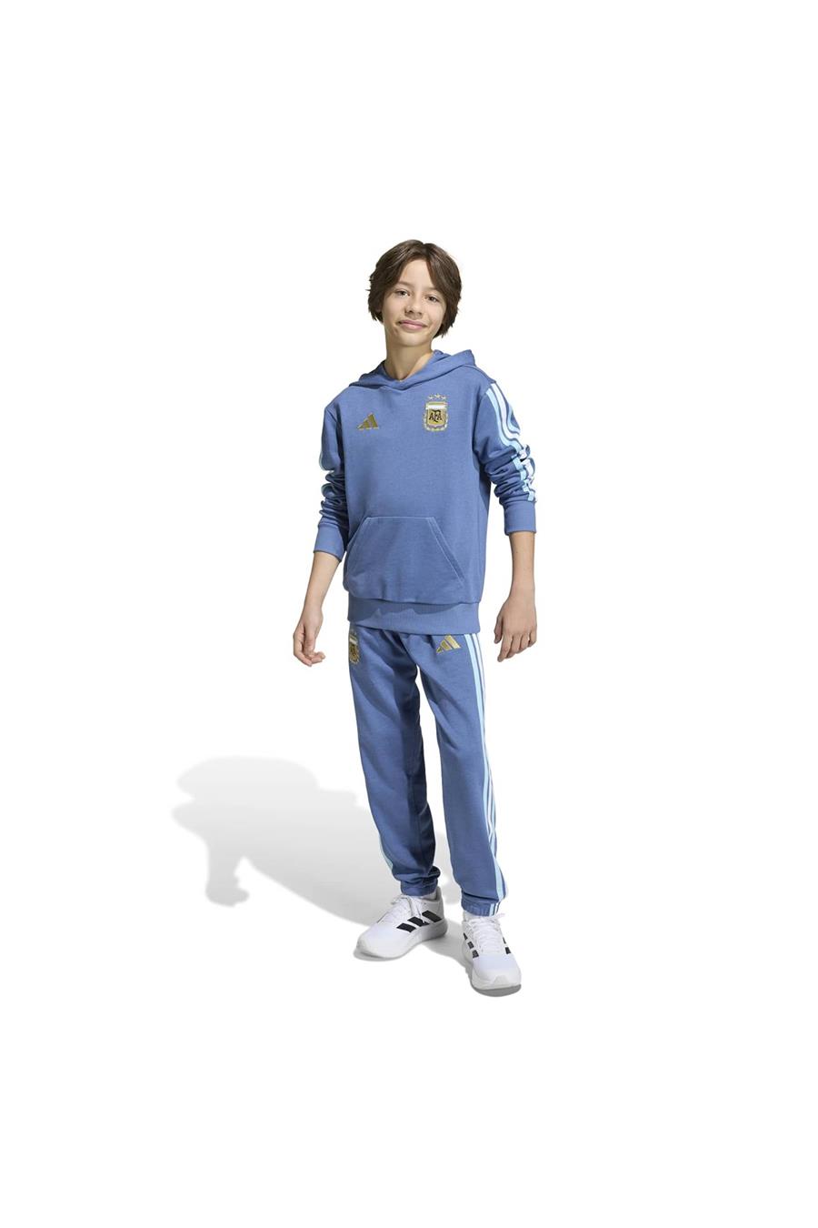 adidas Çocuk  Mavi  Sweatshirt AFA KIDS HD JZ6304