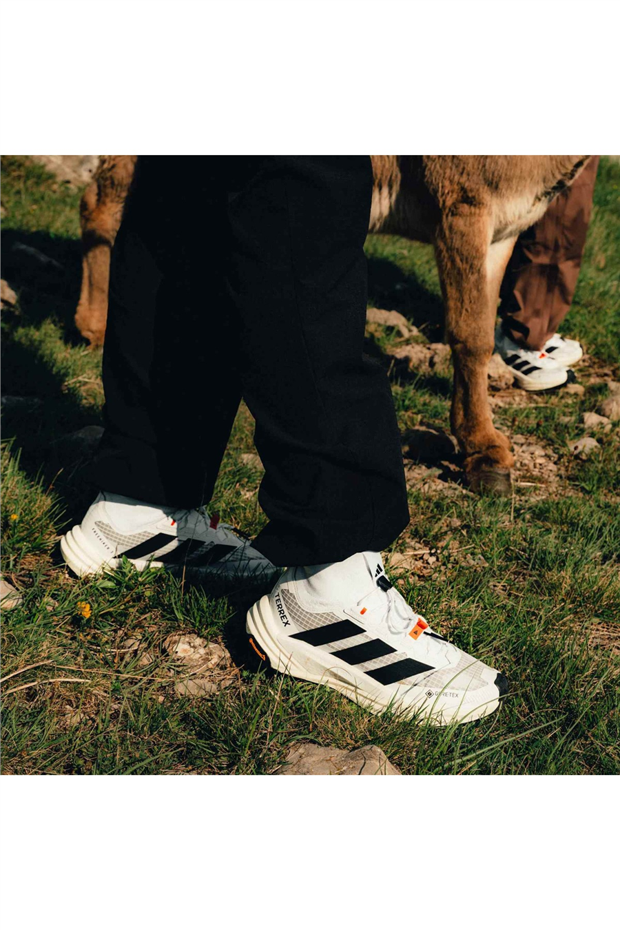 adidas Erkek Bot TERREX FREEHIKER 3 ULTRA GTX KI8263