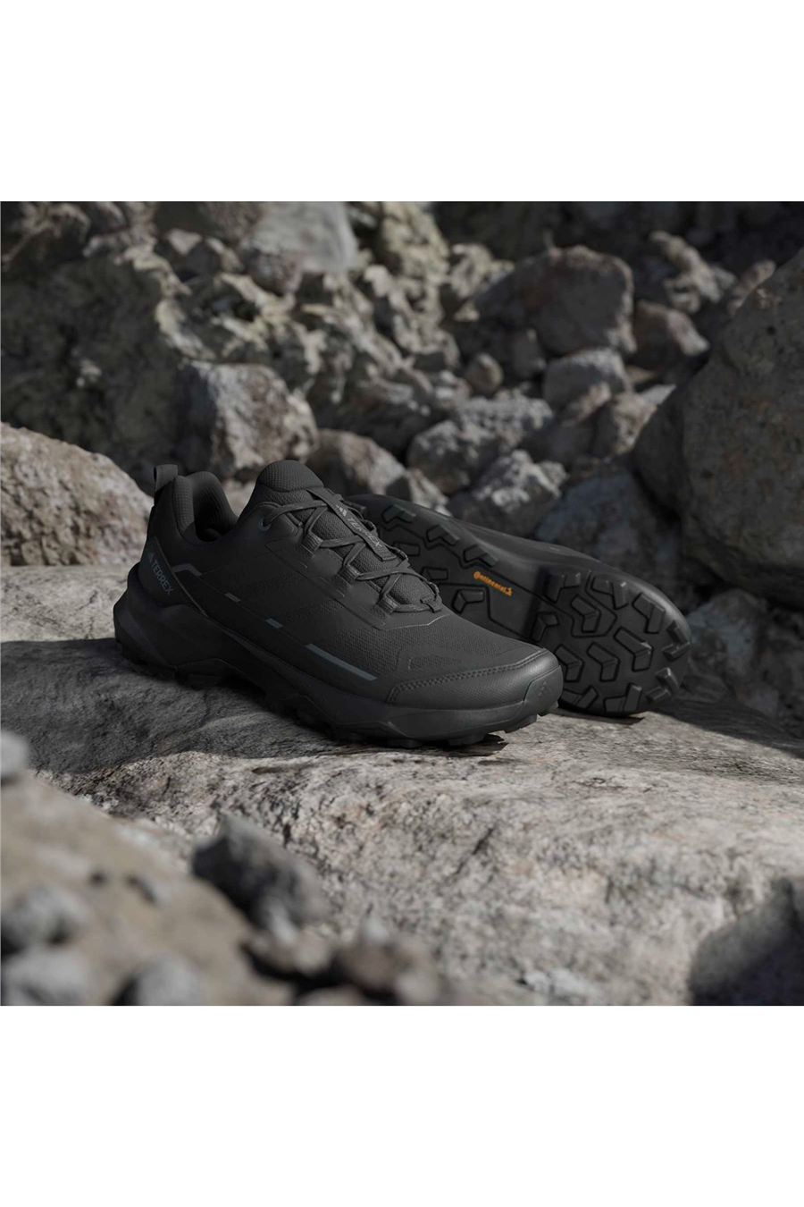 adidas Erkek Bot TERREX SKYCHASER AX5 JQ2215