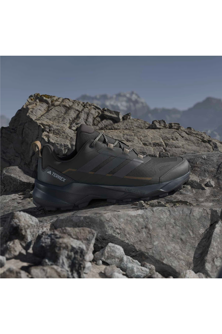 adidas Erkek Bot TERREX SKYCHASER AX5 JQ2216