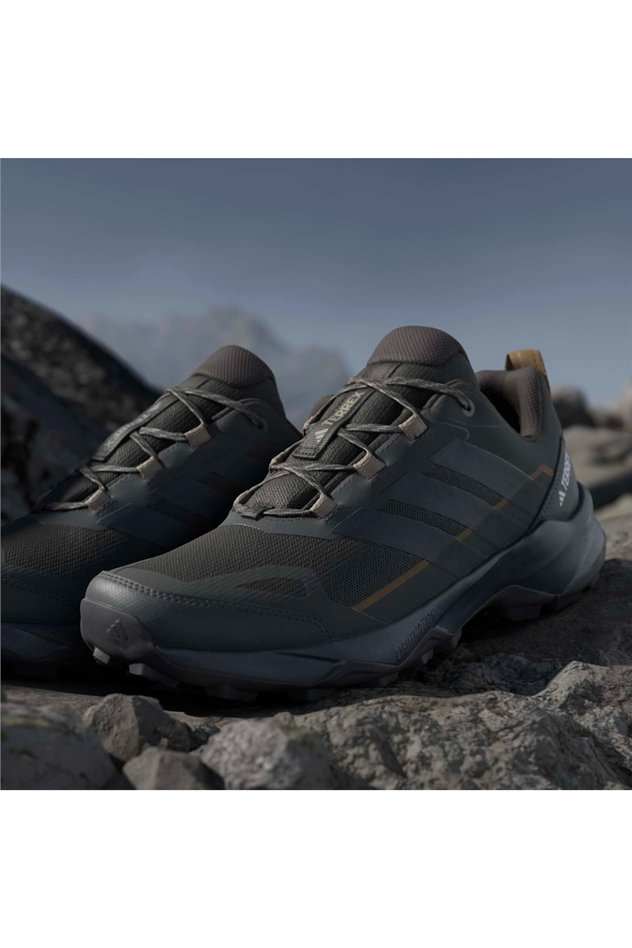 adidas Erkek Bot TERREX SKYCHASER AX5 JQ2216