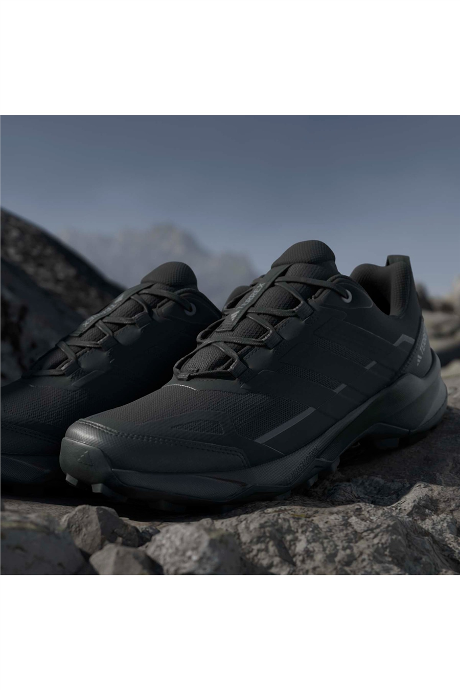 adidas Erkek Bot TERREX SKYCHASER AX5 JQ2215
