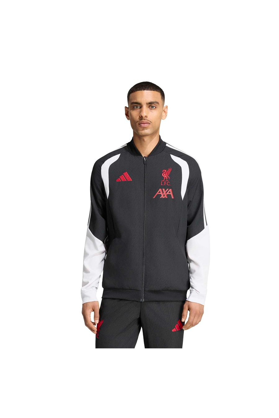 adidas Erkek Ceket LFC PRE JKT KB5769