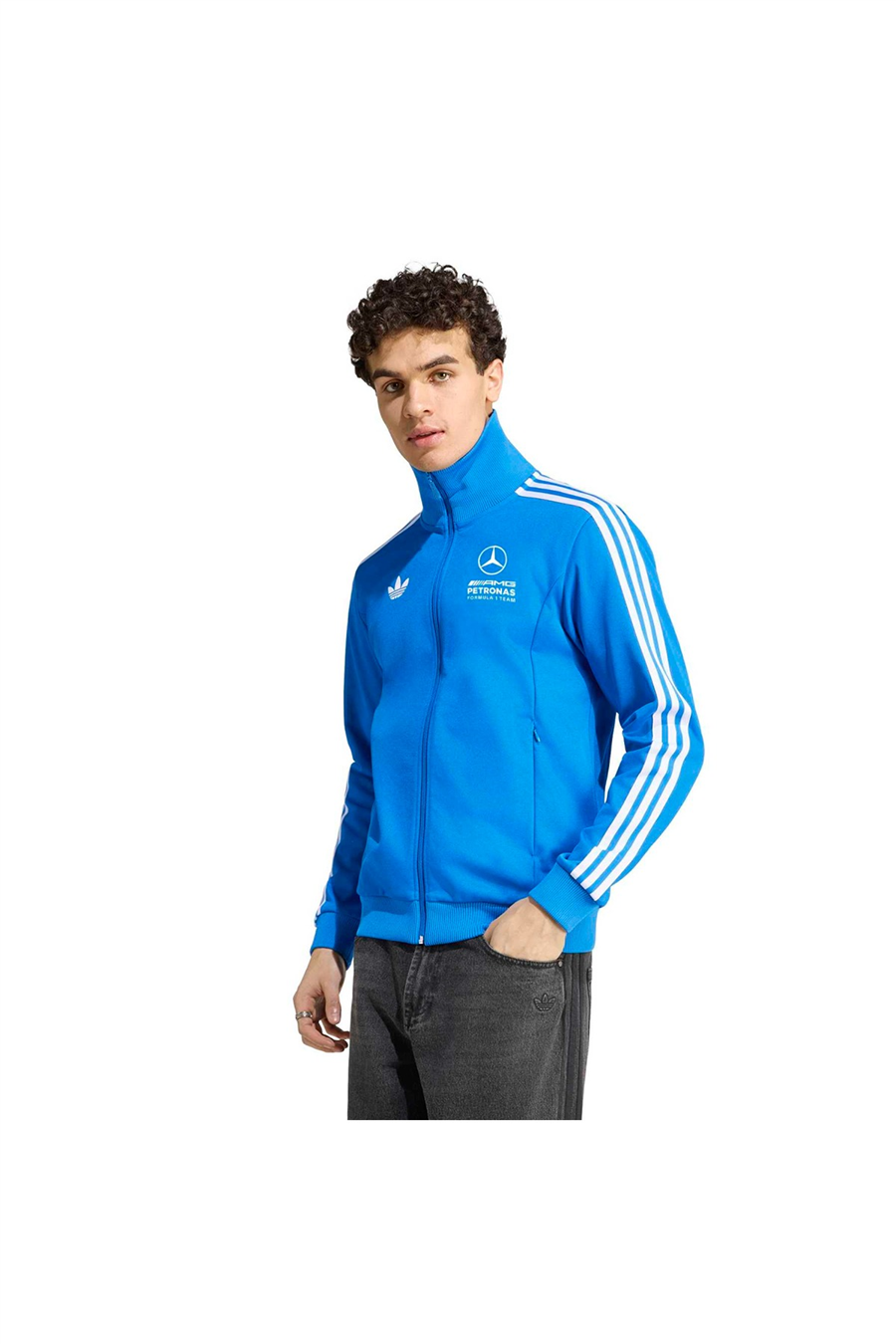 adidas Erkek Ceket 