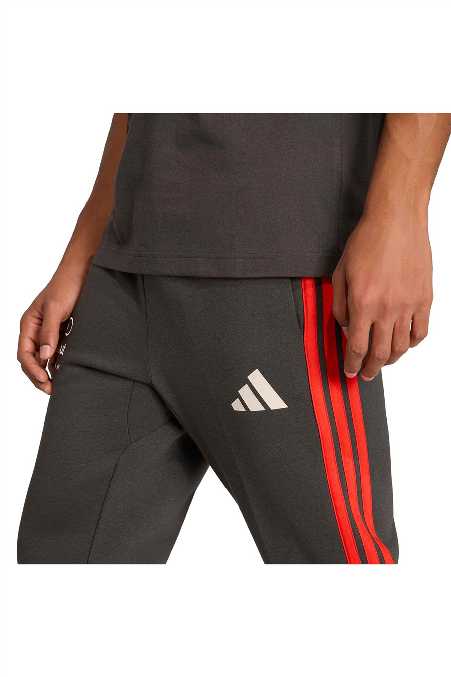 adidas Erkek Eşofman Altı AU DNA PNT M KE6783
