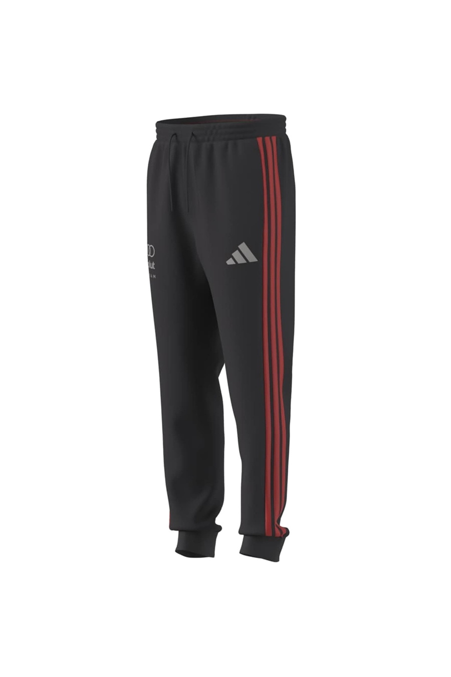 adidas Erkek Eşofman Altı AU DNA PNT M KE6783