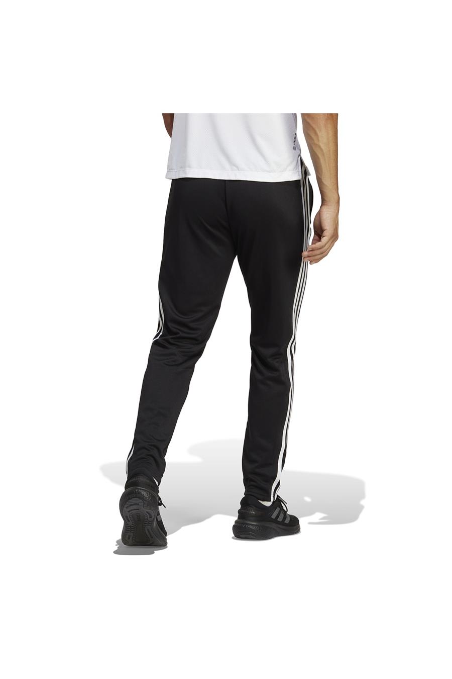 adidas Erkek Eşofman Altı IB8168