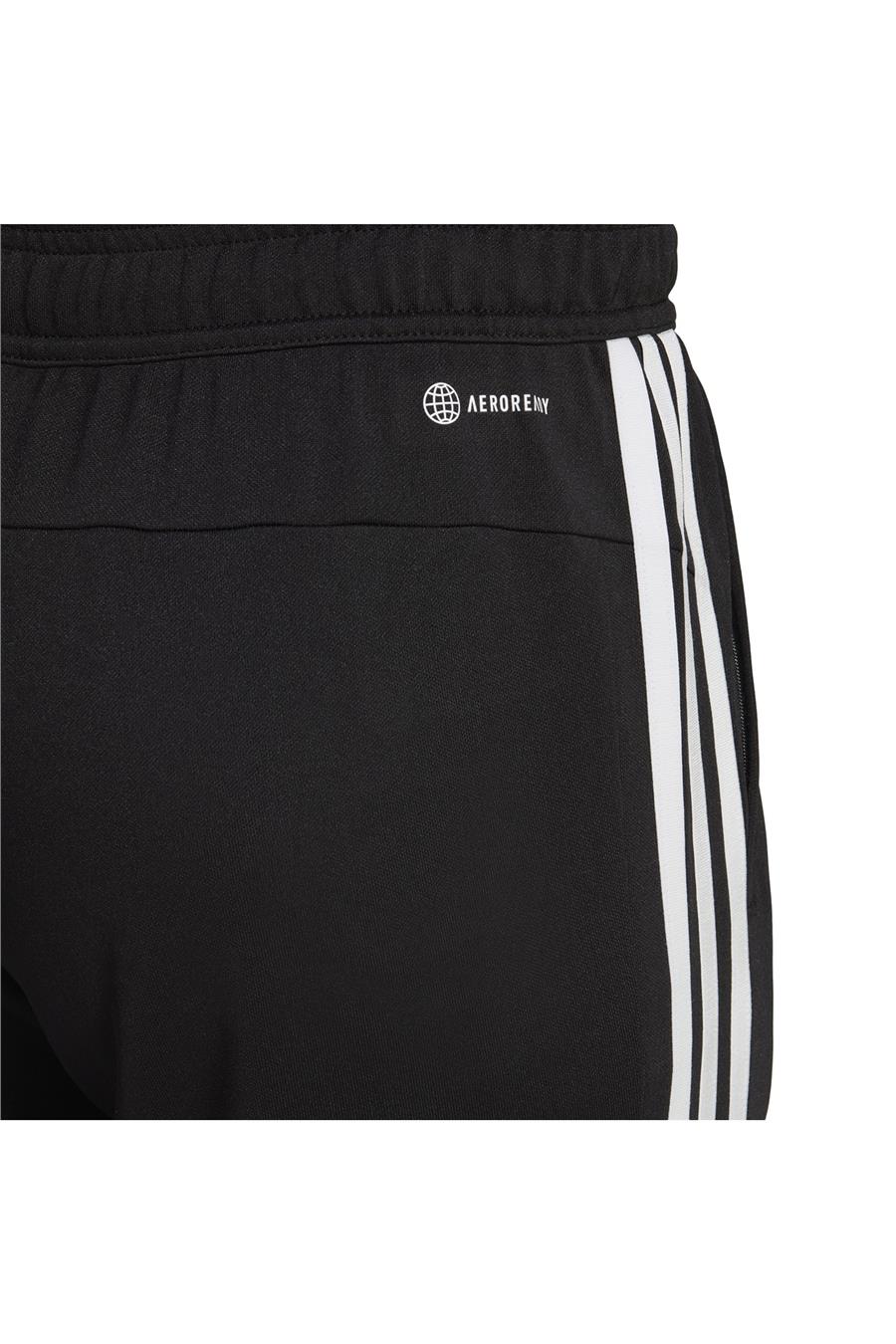 adidas Erkek Eşofman Altı IB8168