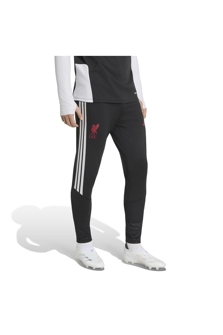 adidas Erkek Eşofman Altı LFC TR PNT KB5741